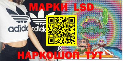 прущий лед Будённовск