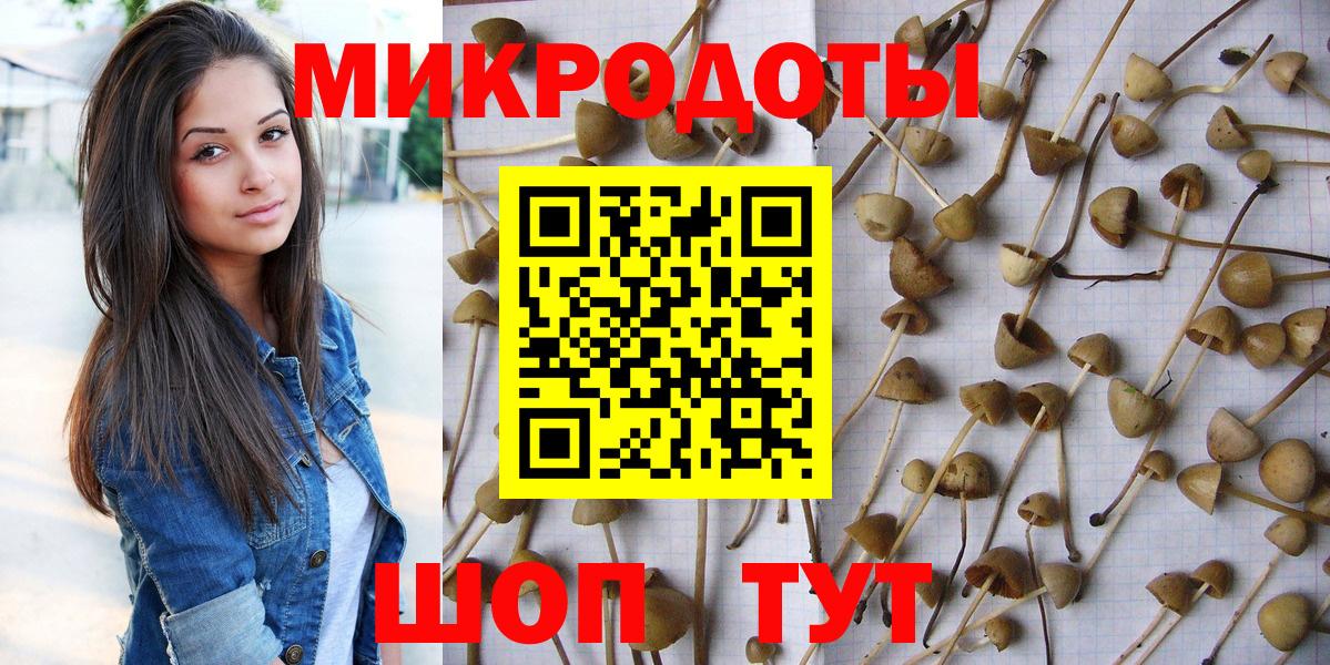 Галлюциногенные грибы Magic Shrooms Череповец